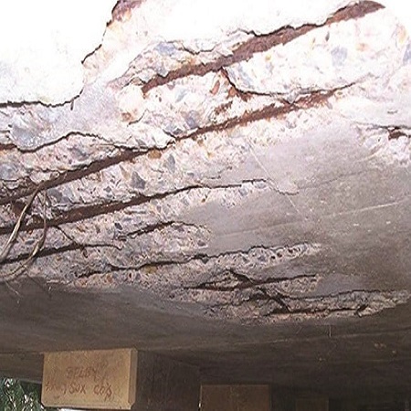 walia sale corporation